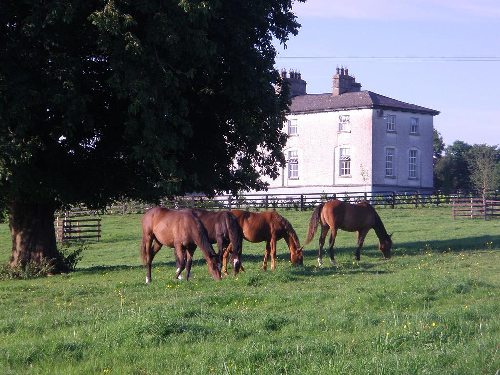 Hostal Glebe House Taghshinny Exterior foto